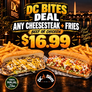 Philly Cheese Steak with Fries 